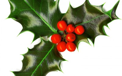 December 2015 PaBIA Newsletter