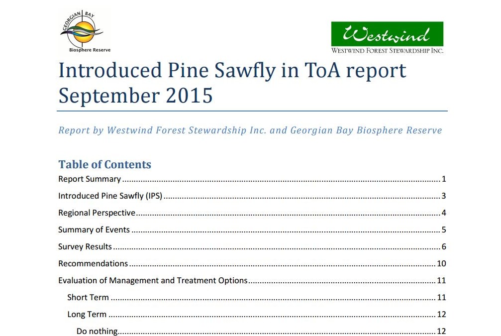 Introduced Pine Sawfly in ToA report September 2015