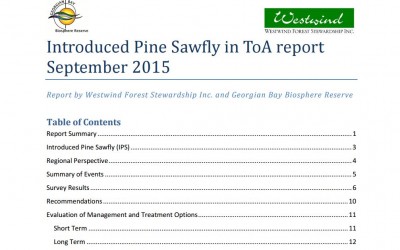 Introduced Pine Sawfly in ToA report September 2015