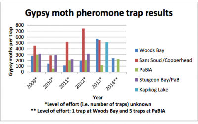 2014 Pheromone Trap Results for the Township of the Archipelago